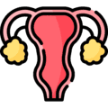 Gynecology
