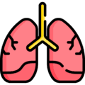 Pulmonology